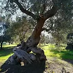Trullo Alessandro Feriehus *