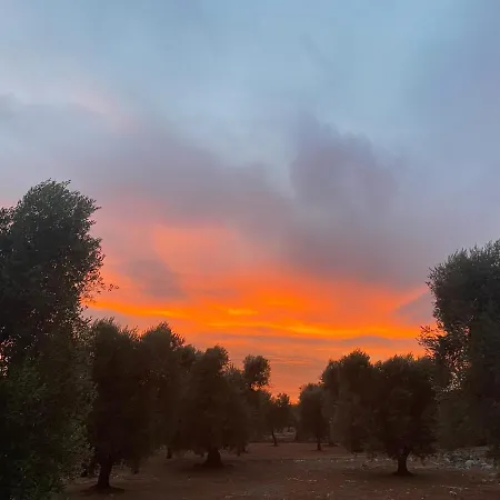 Trullo Alessandro E Raffaela Dom wakacyjny San Vito dei Normanni