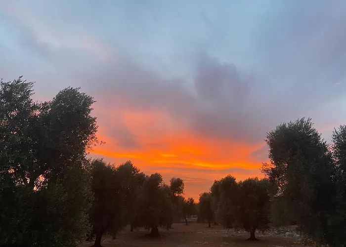 Trullo Alessandro E Raffaela 度假居 圣维托诺曼