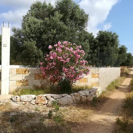 Holiday home Trullo Alessandro E Raffaela