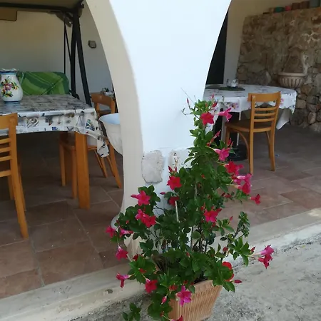 Trullo Alessandro E Raffaela *