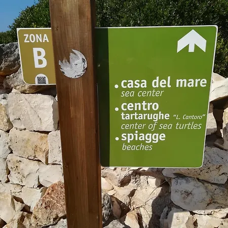 Trullo Alessandro E Raffaela 度假居 圣维托诺曼