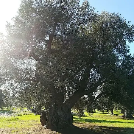 Trullo Alessandro E Raffaela