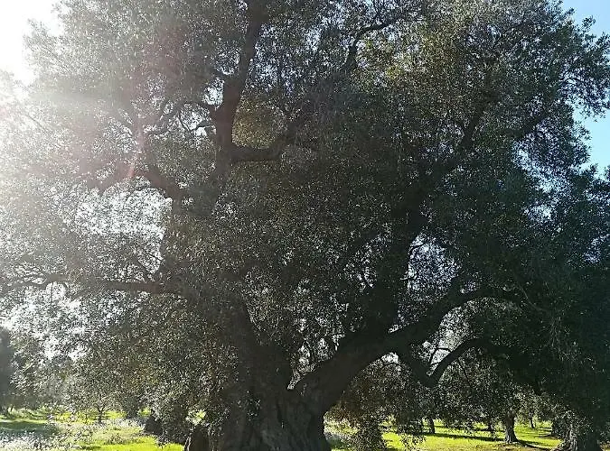 Trullo Alessandro E Raffaela